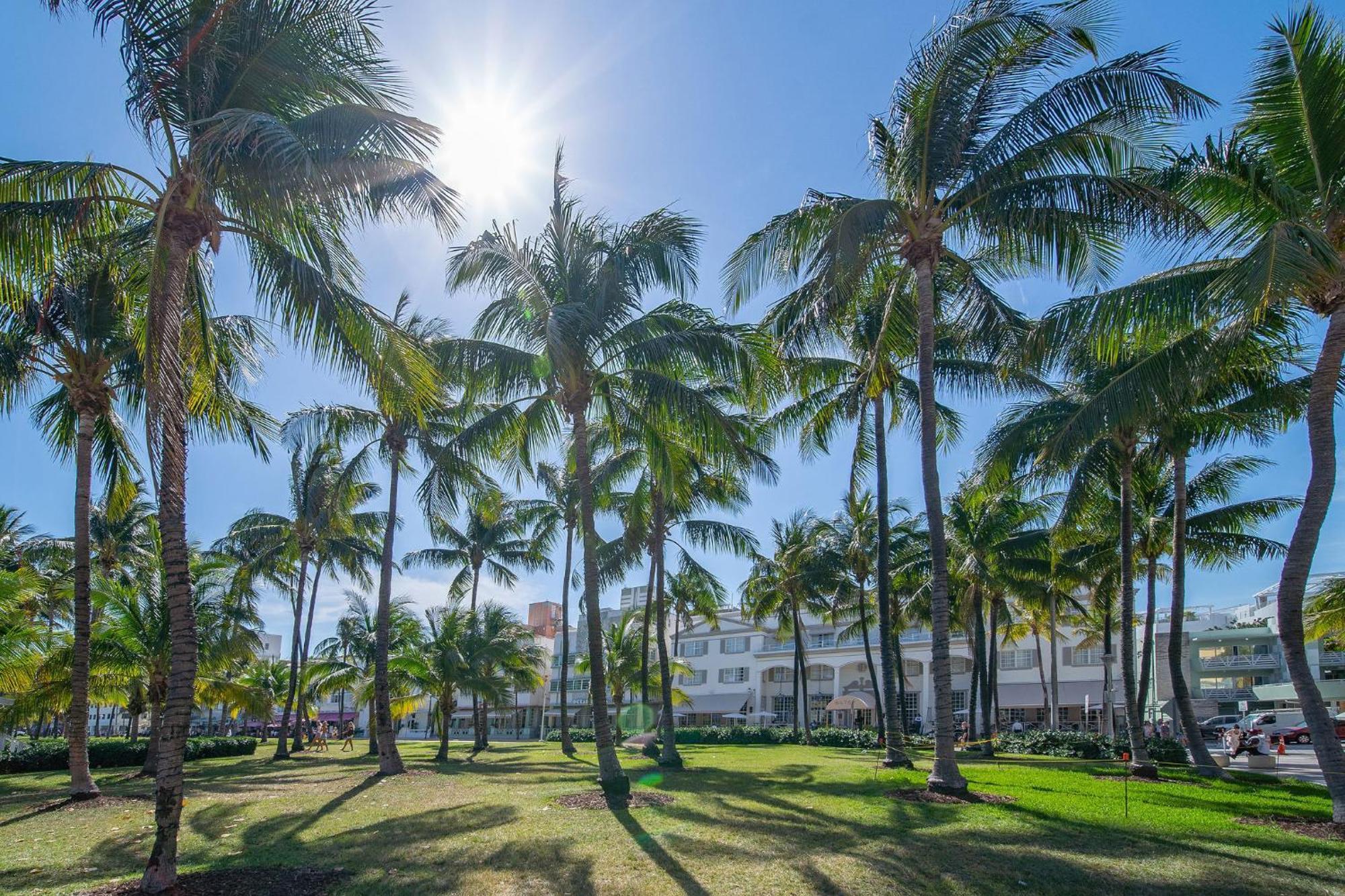 Beachy 1 B/R, W/2 Queen Beds, On Ocean Drive Beach Miami Beach Exterior photo